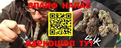 PSILOCYBIN Гусиноозёрск